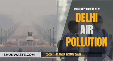 Delhi's Air Pollution: A Crisis Unveiled