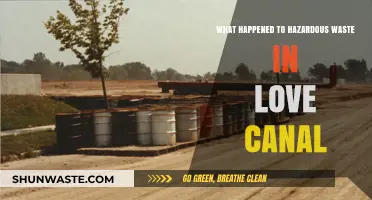The Toxic Legacy of Love Canal: What Happened to Hazardous Waste?