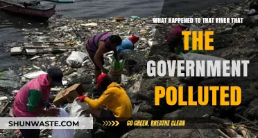 The River's Revenge: Government Pollution's Legacy