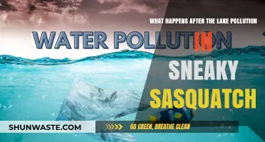 Sneaky Sasquatch: Post-Lake Pollution Adventure