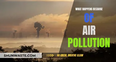 Air Pollution: A Lethal Impact on Our Planet