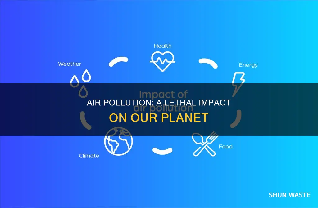 what happens because of air pollution
