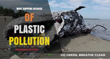 Plastic Pollution: Devastating Impacts on Our Planet