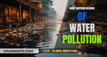 Water's Dark Turn: Unveiling the Impact of Pollution