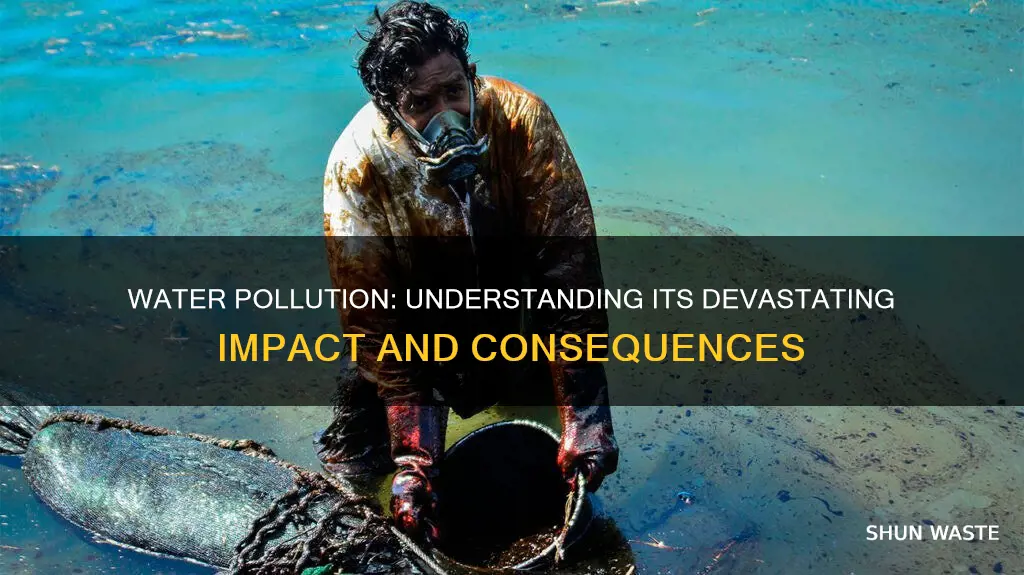 what happens because of water pollution