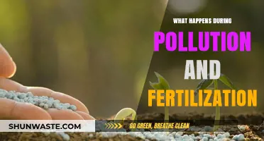 The Fertilization and Pollution Cycle: Impact and Understanding