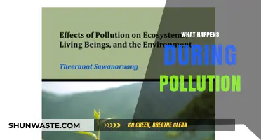 The Earth Suffocates Under Pollution's Heavy Burden