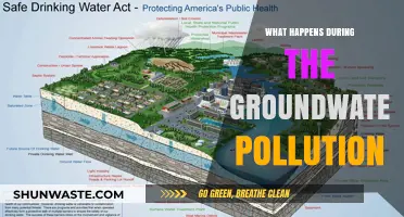 Groundwater Pollution: Understanding the Contamination Crisis