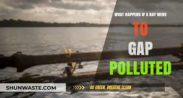The Impact of Pollution on Bays