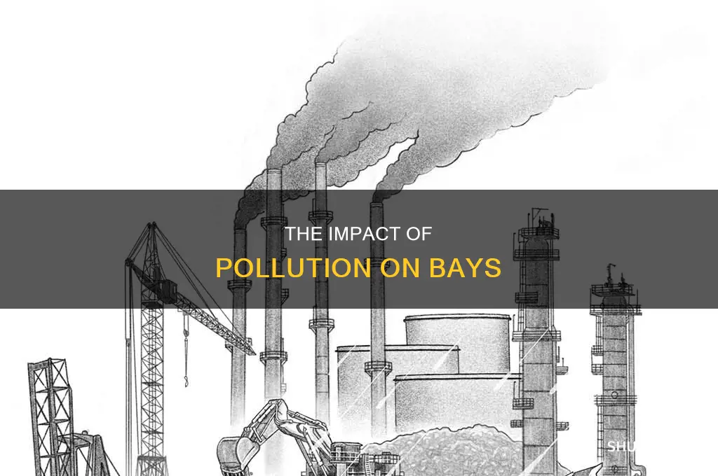 what happens if a bay were to gap polluted