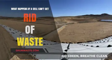 Cellular Waste Management: Consequences of Inefficient Detoxification