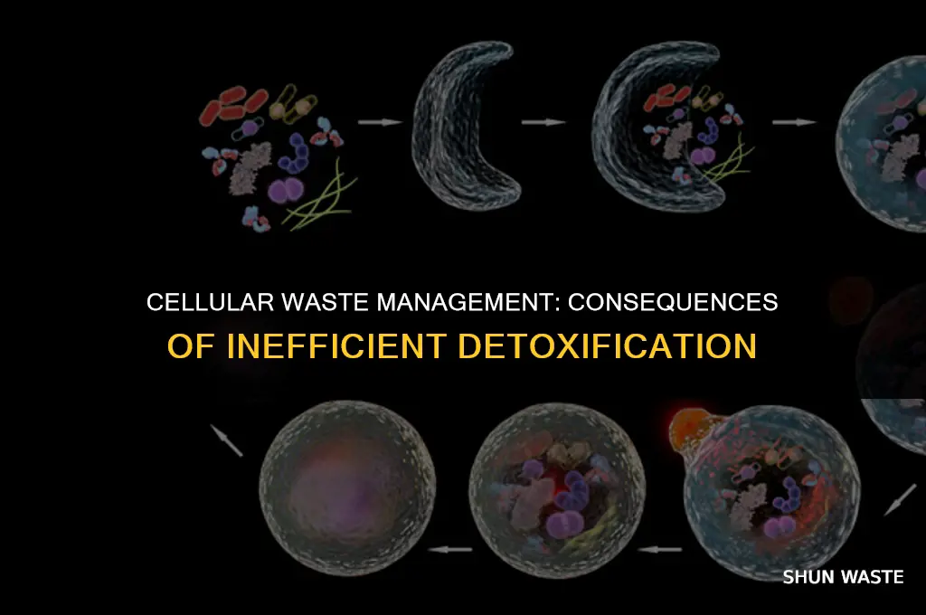 what happens if a cell can