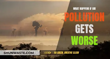 Air Pollution's Dark Future: A Warning for Humanity