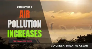 The Dark Future: Air Pollution's Rising Threat