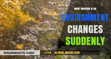 Sudden Environmental Shifts: Impacts, Adaptations, and Ecosystem Resilience Explored