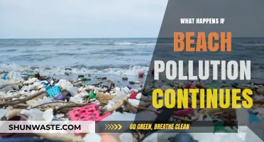 Beach Pollution: The Devastating Impact on Our Coasts