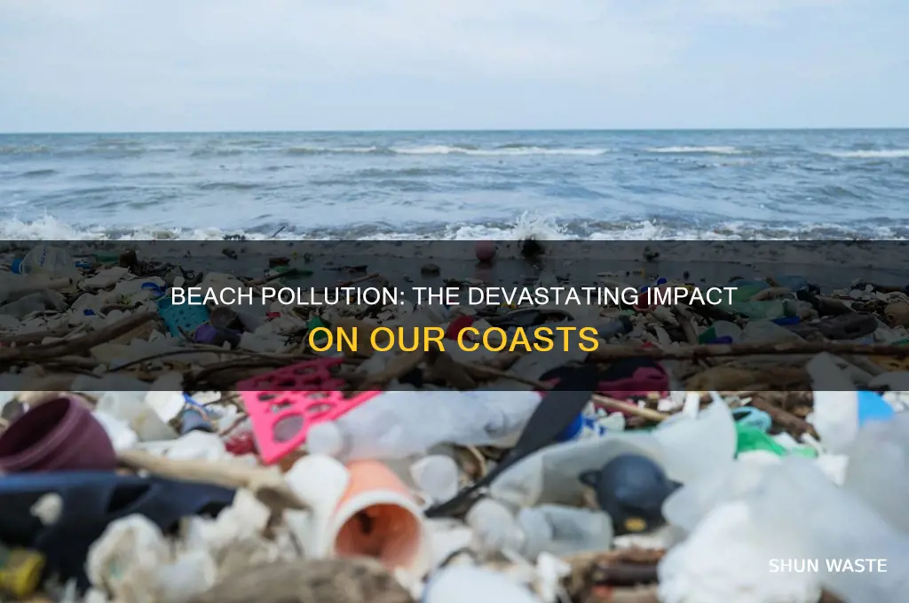 what happens if beach pollution continues