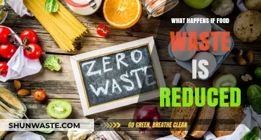 Sustainable Steps: The Impact of Reducing Food Waste on Our Planet