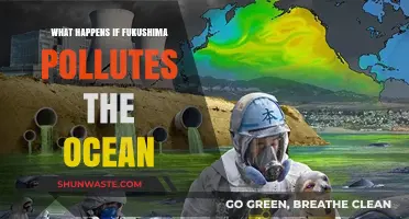 The Fukushima Disaster: Ocean Contamination and its Impact