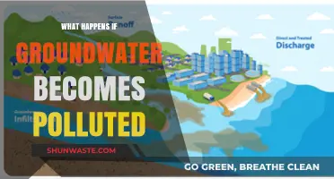 Groundwater Pollution: A Dangerous Threat to Our Planet's Health