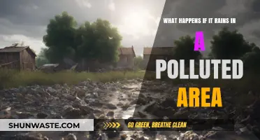 How Rain in Polluted Areas Impacts Us