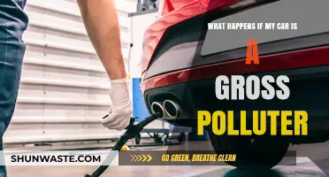 Understanding Gross Polluter Consequences: What Car Owners Should Know