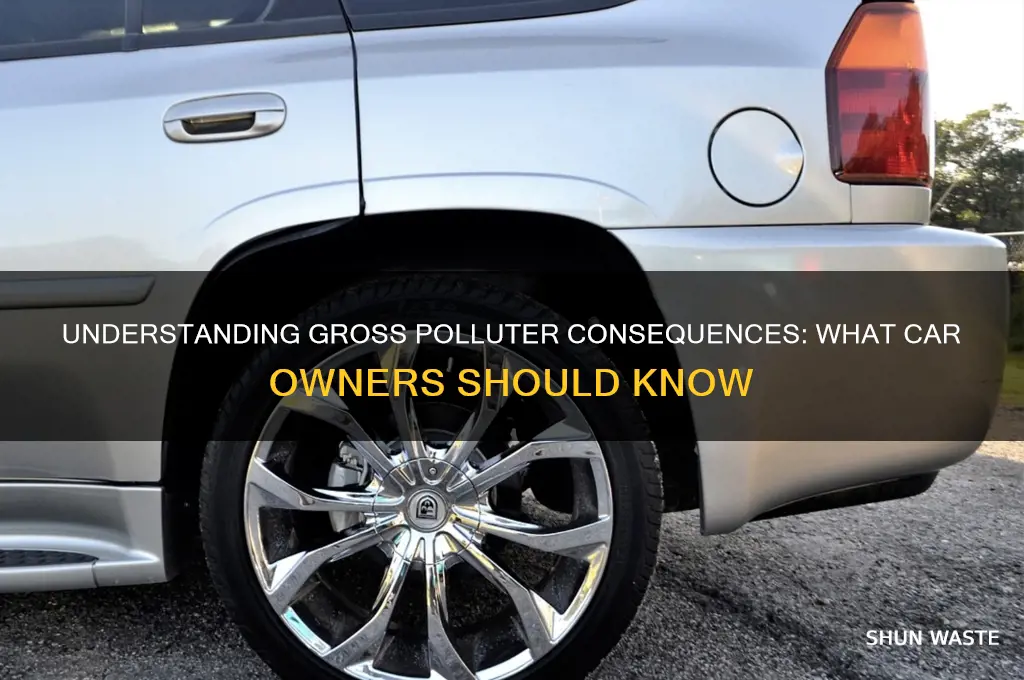 what happens if my car is a gross polluter
