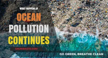 The Ocean's Future: Pollution's Devastating Impact