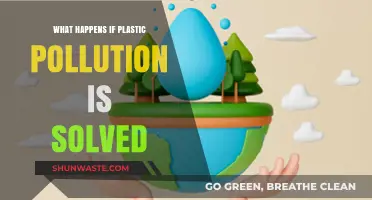 A Future Without Plastic Pollution: What's Next?