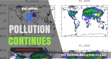 The World's Future: Pollution's Devastating Impact