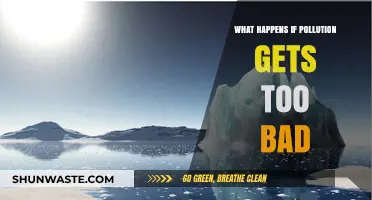 The World's Future: Pollution's Worst-Case Scenario