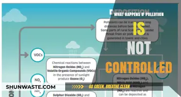 Unchecked Pollution: A World in Crisis