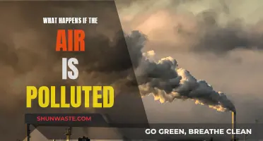 Air Pollution: Understanding the Devastating Impact on Our Planet