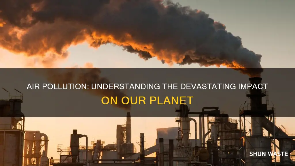 what happens if the air is polluted
