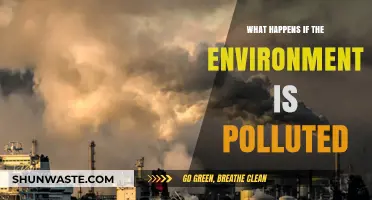 The Impact of Pollution: Our World at Risk