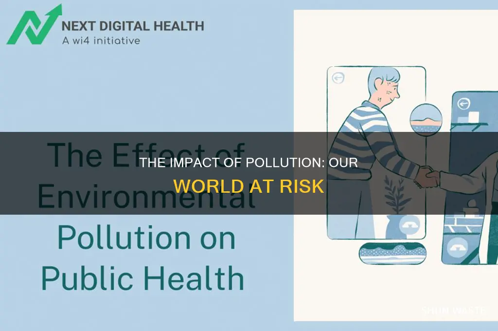 what happens if the environment is polluted