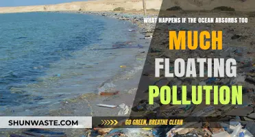 Ocean Pollution: Absorption's Impact on Marine Life