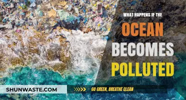 Ocean Pollution: A Looming Catastrophe for Marine Life