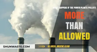 Power Plants Overpollute: What Are the Consequences?