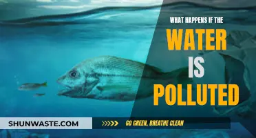 The Devastating Impact of Water Pollution: A Global Crisis