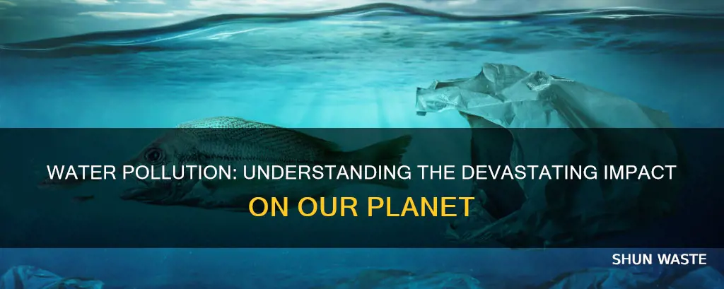 what happens if the water is polluted