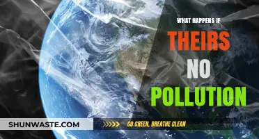 A Green Dream: No Pollution, What's Next?
