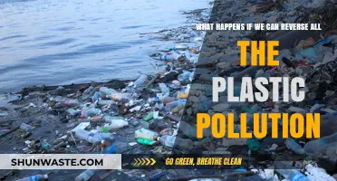 A World Without Plastic Pollution: The Future We Can Create