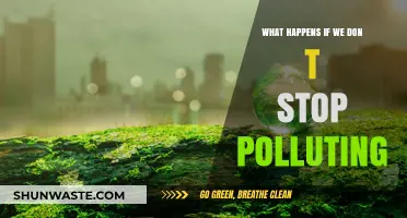 The Earth's Future: Pollution's Devastating Impact