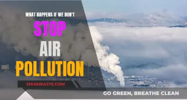 Air Pollution: Our Future at Stake