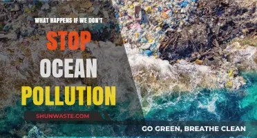 Ocean Pollution: Our Future at Stake