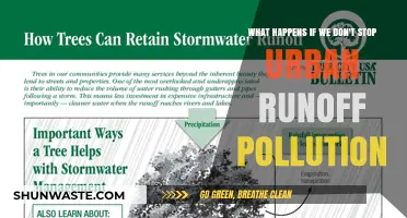 Unchecked Urban Runoff: A Recipe for Environmental Disaster
