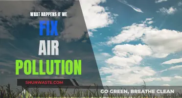 Breathing Easy: A World Without Air Pollution