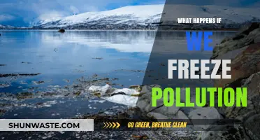 Freezing Pollution: A Solution or Temporary Relief?