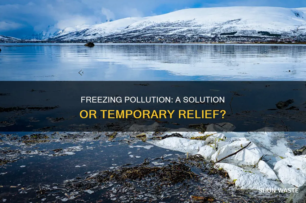 what happens if we freeze pollution